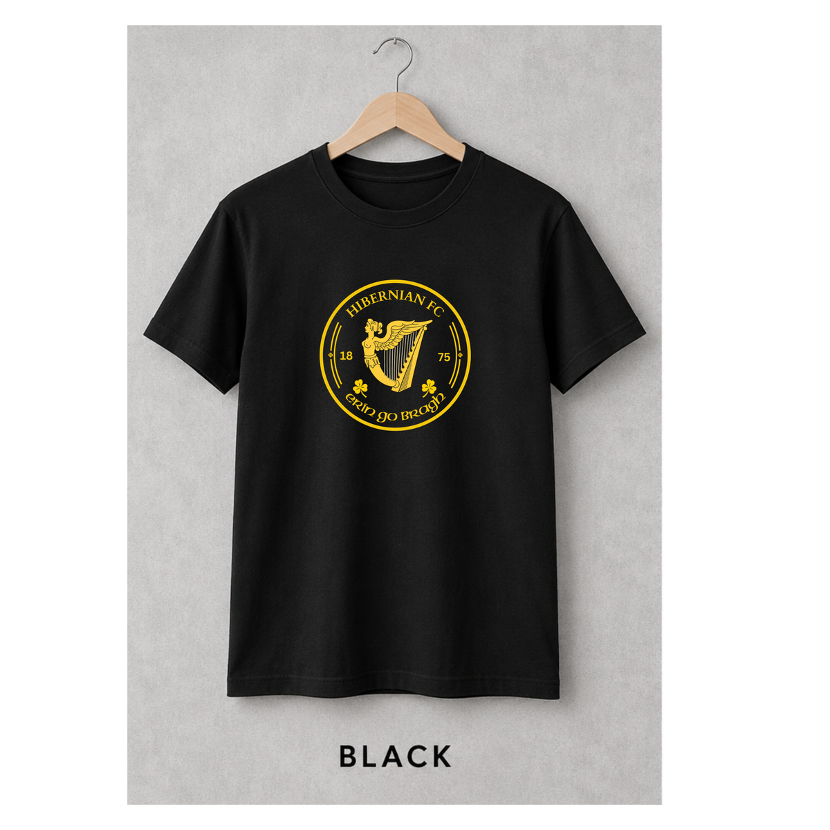 Hibernian FC Inspired Erin Go Bragh T-Shirt – Hibs Football Tee – Black or Green ADULTS & KIDS